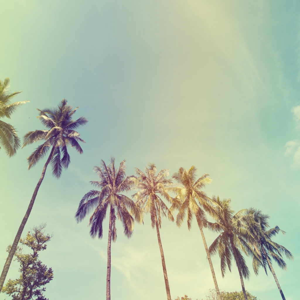 Landscape of palm trees at tropical coast, vintage effect filter and ...